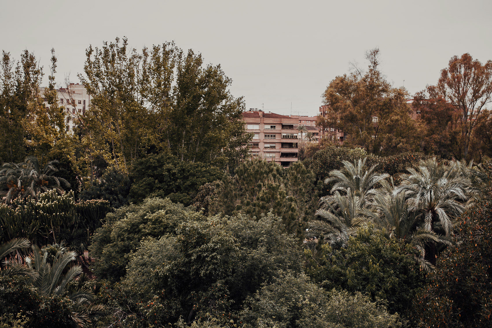 vistas naturaleza arboles verde