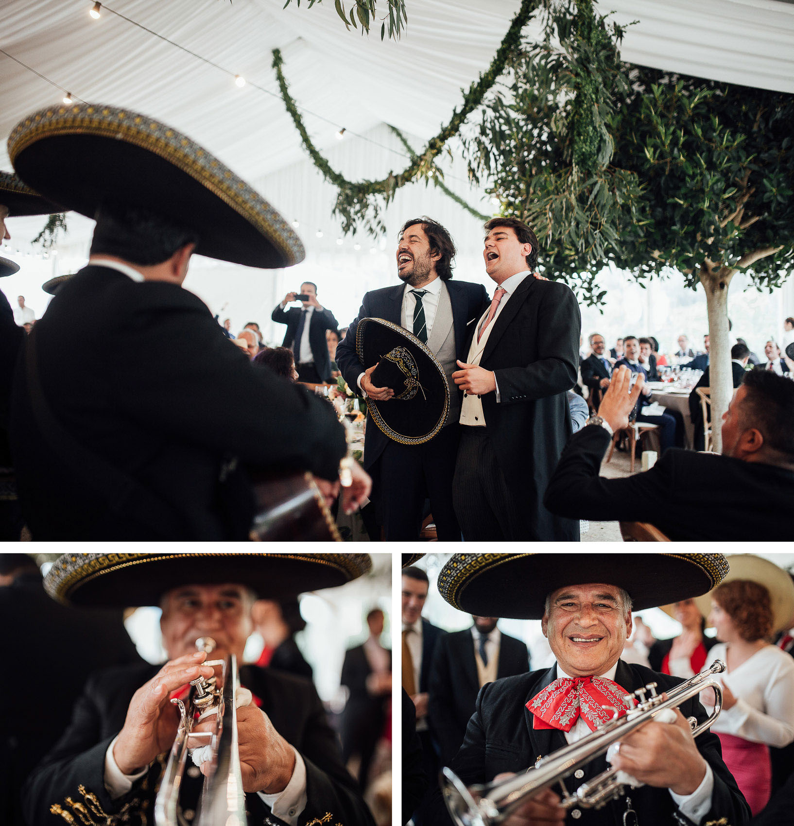 novio cantando ranchera mariachis musica directo boda