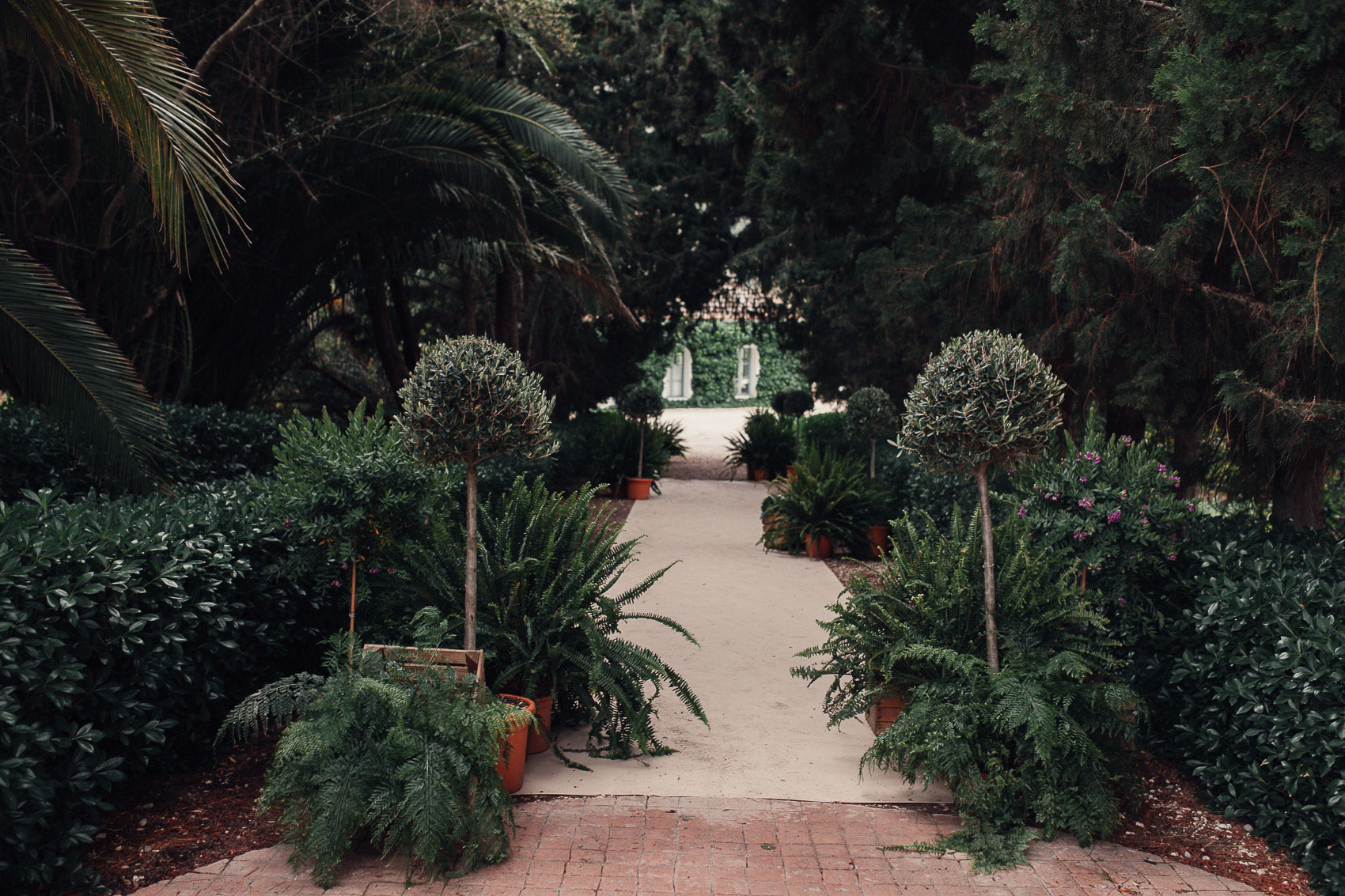 decoracion parque naturaleza plantas arboles verde